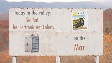 SimAnt: The Electronic Ant Colony (Mac) | The Video Game Valley