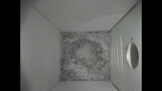 Nestbox 20180803/20:00 - 18 frames with movement
