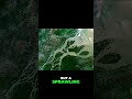 7 Million Square Kilometers of Pure Maze #amazon #geography #documentary