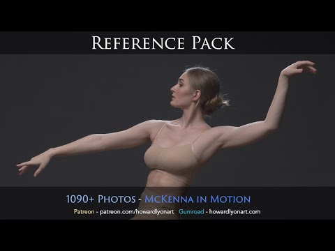 Portfolio Builder Reference Pack - McKe…: is this $16 stack worth it for Photography?