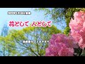 『花として 人として』島津亜矢 カラオケ 2022年3月16日発売