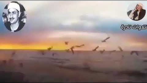 خشوع وابداع الشيخ المنشاوي رحمه الله !! ارح سمعك وقلبك ( ما تيسر من سوره يوسف)