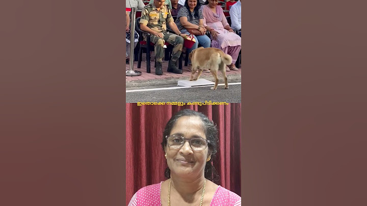 ആ നായയുടെ ബഹുമാനം കണ്ടോ #shorts #pets #dog #army #labrador