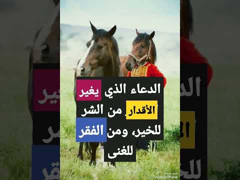 الدعاء الذي يغير القدر من الشر للخير ومن الفقر للغنى دكتور محمد الشاعر
