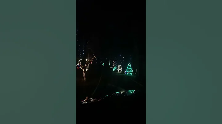 Enchanted Forest at FOL