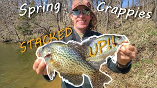 Early Spring Crappie and Bass BONANZA | 35 FISH on ONE Jig!!!