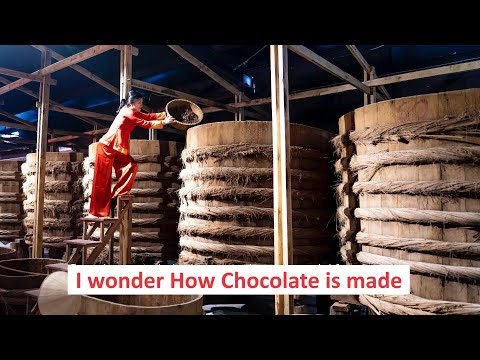 Decoding the Chocolate Making Process  From Cocoa Pod to Tempting Treats!