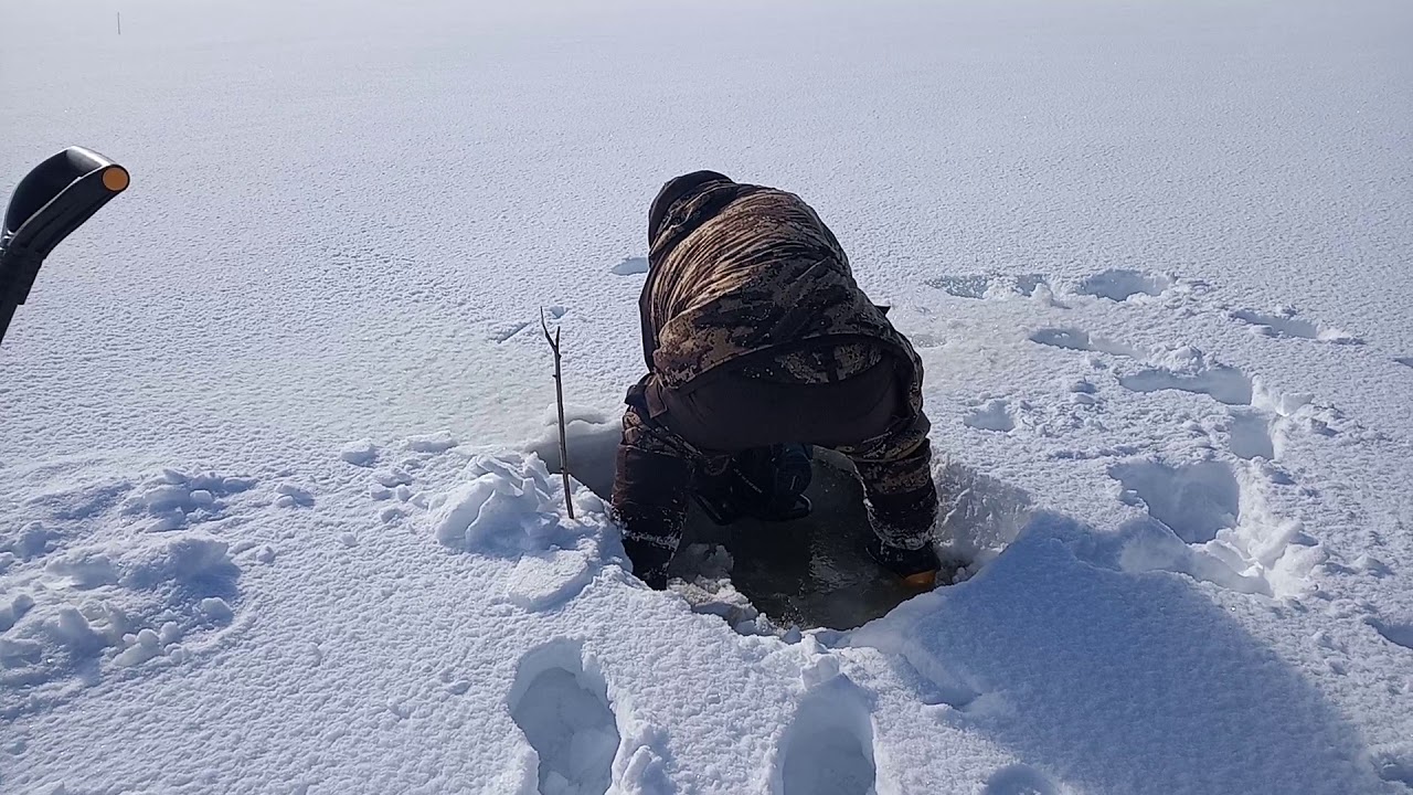 Макита в деле 70см лёд!Вычегда (Большая Слуда)