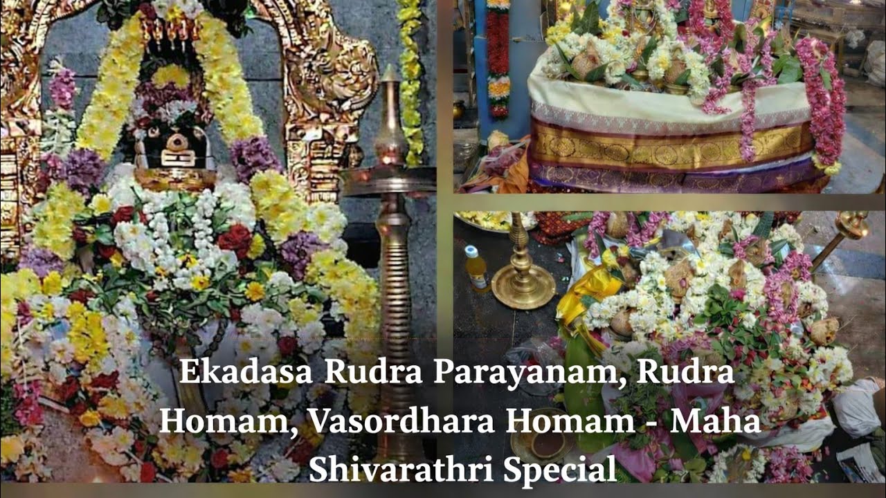 Maha Shivratri Celebrations | Shri Bala Vinayakar  Bala Murugar Sornambigai Samedha Kovil 🙏