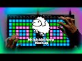 Mr SuicideSheep Mashup - Launchpad Performance