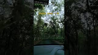 POV: Driving Through Forest In Monsoon 🌧️#moonsoon #driving #forestroads #odisha #rain #rain #nature