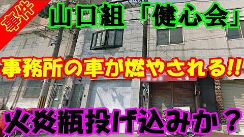 光生 会 分裂