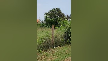 Đất Ninh Thọ, Cạnh Khu Công Nghiệp Dốc Đá Trắng, Khu Kinh Tế Nam Vân Phong, Tx Ninh Hòa, T.Khánh Hòa