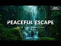 SOOTHING PIANO MUSIC: STUDY WORK MUSIC, RELAXING SLEEP MUSIC, STRESS RELIEF