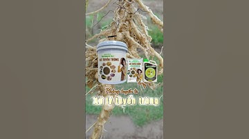 Xử lý tuyến trùng dễ dàng và an toàn #phvietnam #emgaiphan #phanbon #huuco #hattuyentrung