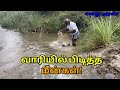      catching fish in river  fishing riverfishing rain