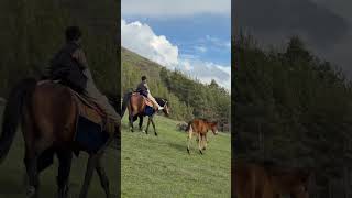 Soft Mountain Escape at Space Trip ✨ #travel #relax #glamping #horse #mountains #tinyhouse