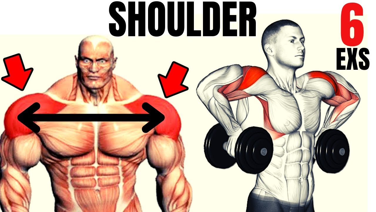 7 Muscle-Building Shoulder Exercises To Build Strong 3D Shoulders -  GymGuider.com  Exercices de musculation pour hommes, Exercice musculation  epaule, Fitness et musculation