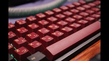 Alt High Profile Holy Panda Sound Test