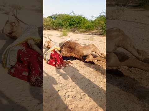 ج م ل ي س ت ر يح و ف تاة ر يف ي ة ب ج ان ب ه ف ي ل ح ظ ة م ؤ ث ر ة