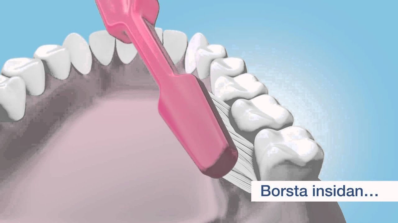 Så borstar du tänderna   YouTube 1080p