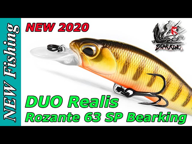 Новинка 2020! DUO Realis Rozante 63 SP от Bearking с Aliexpress