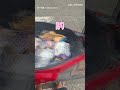 【懂偷】不偷車只偷口香糖！鑰匙完好留原地 車主無奈｜機車｜口香糖