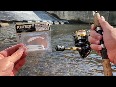 Multispecies SPILLWAY Fishing with the 2 Inch Keitech Easy Shiner! 