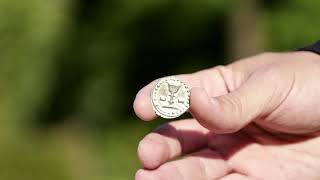 Persistence Of Protestantism In The Mellois Area