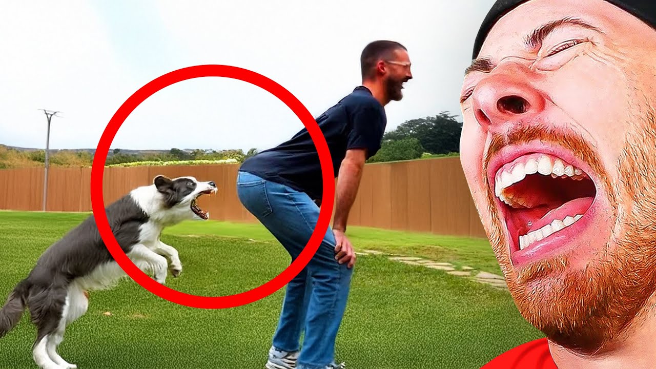 INSTANT Regret Fails to Make You Laugh