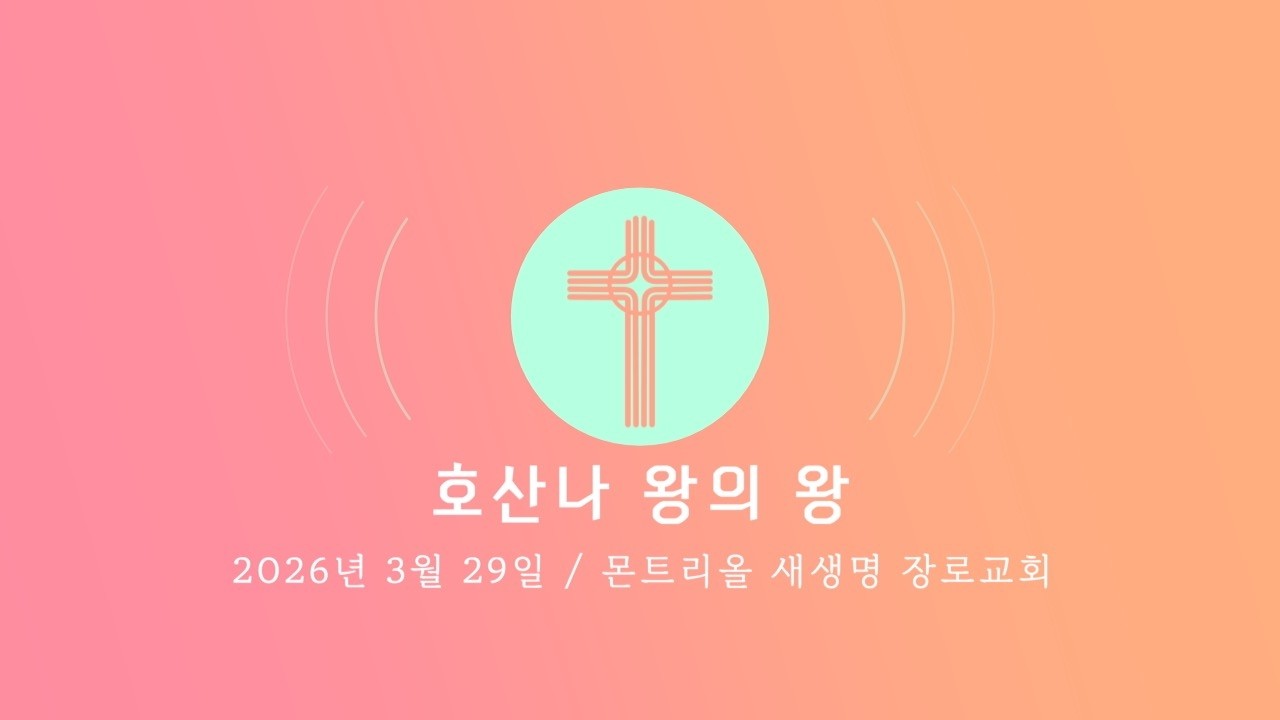 2026년 3월 29일 주일 찬양 (호산나 왕의 왕)