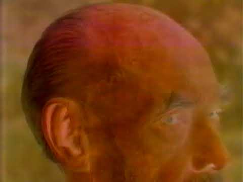 1992年 NTTデータ通信株式会社 ロジャー・ウォルコット・スペリー編