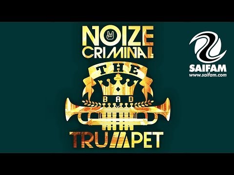 Noize Criminal -