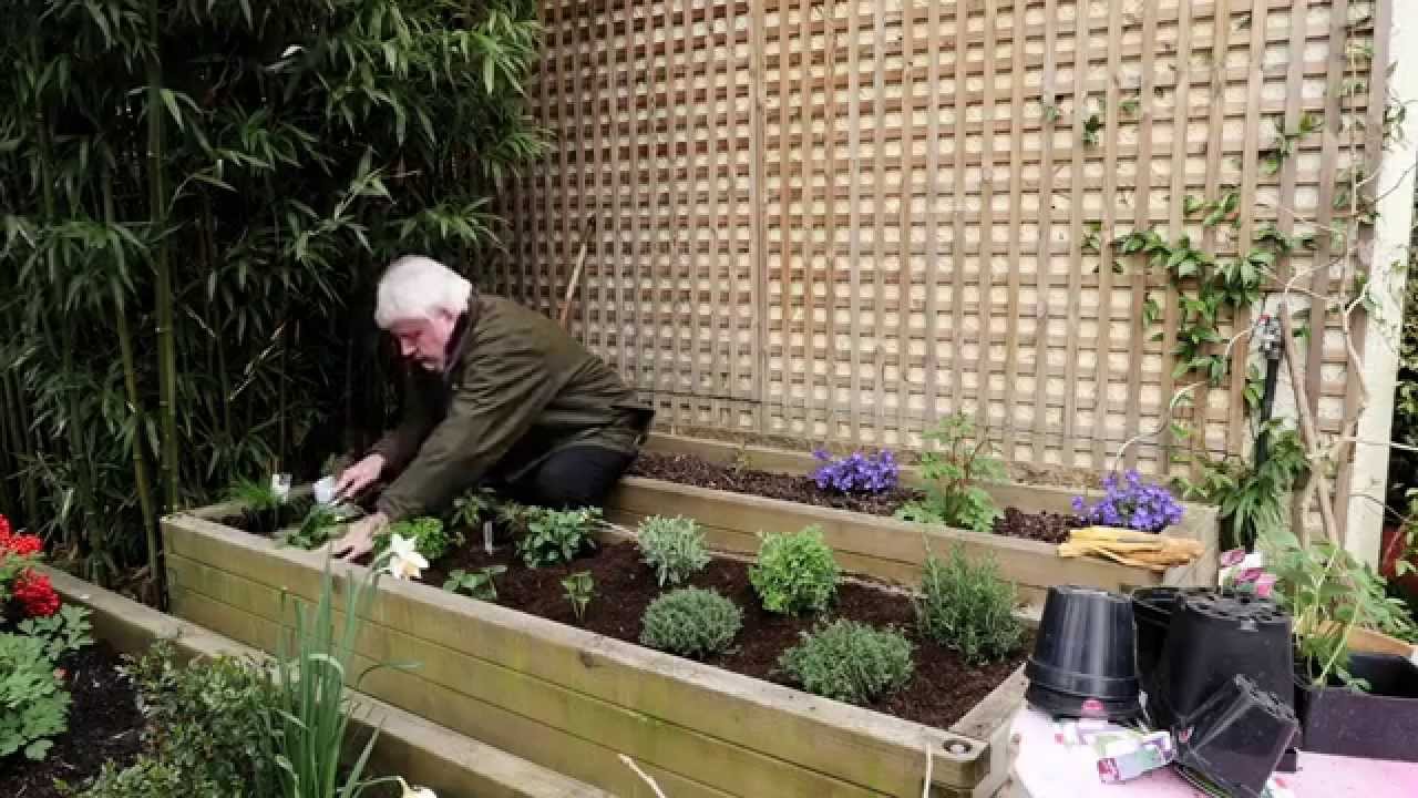 comment planter en bac