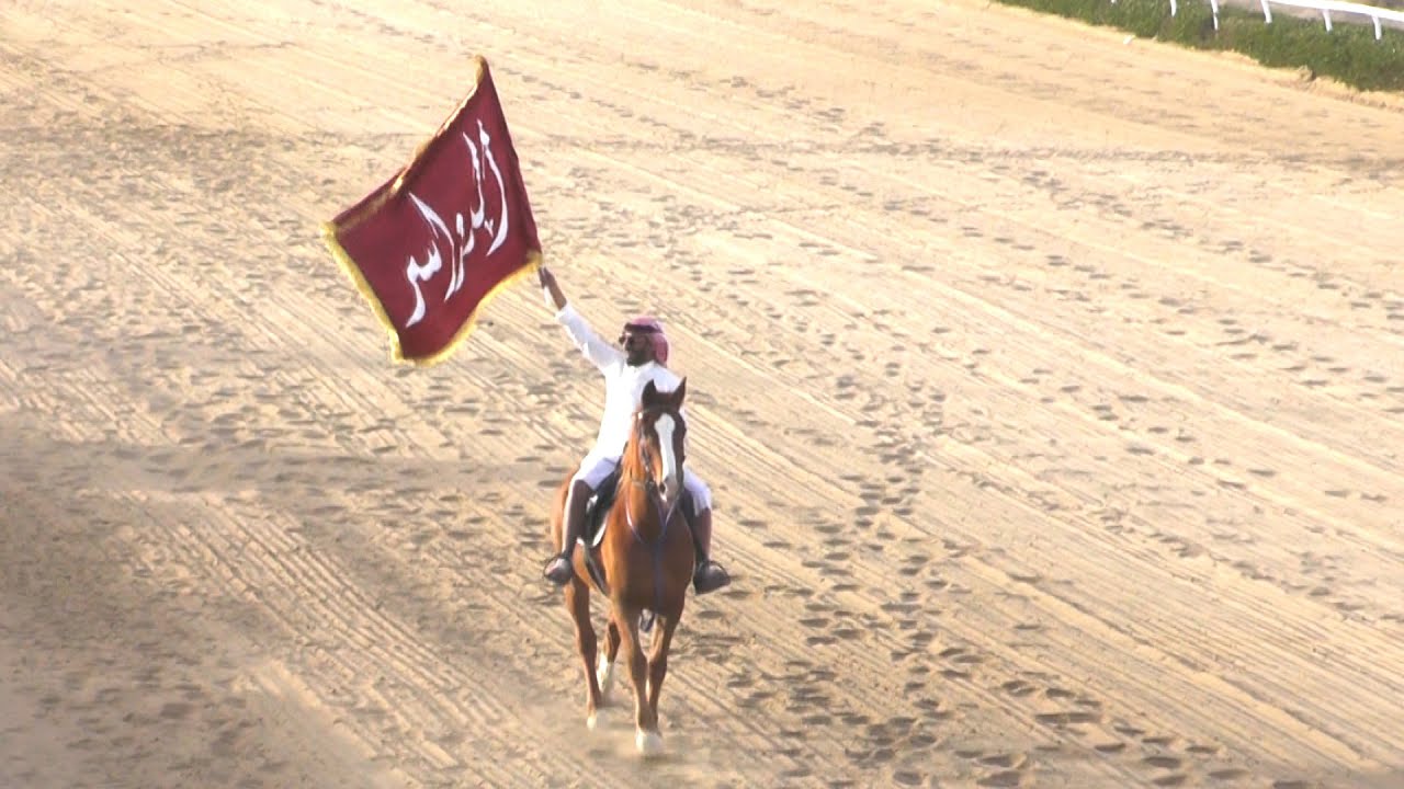 سباق قبيلة الدواسر الاول في دولة الكويت 2020/2/1