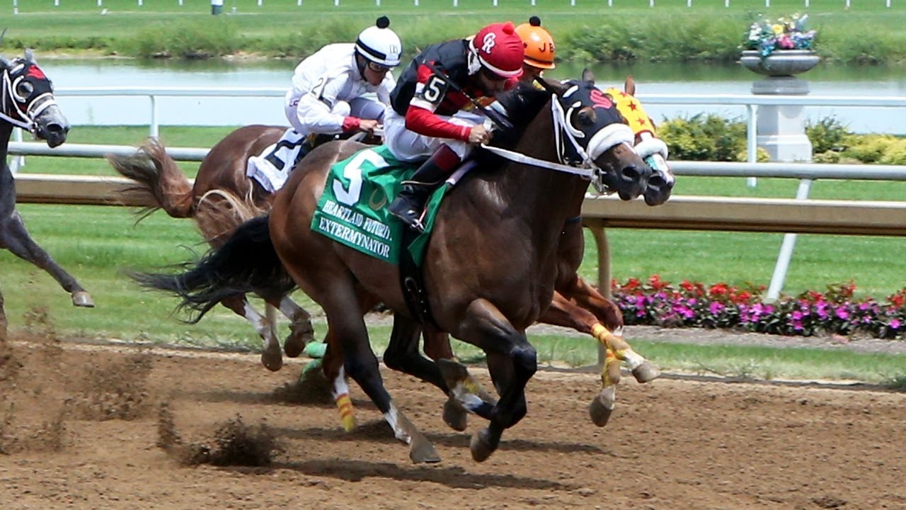 The WrapUp - Aug 7, 2022