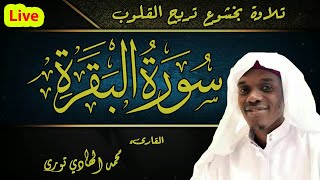 سورة البقرة كاملة || للشيخ محمد الهادي توري || اجمل تلاوات القران الكريم بأجمل صوت