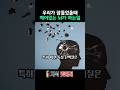 우리가 잠들어 있을때 깨어있는 뇌가 열심히 하는일