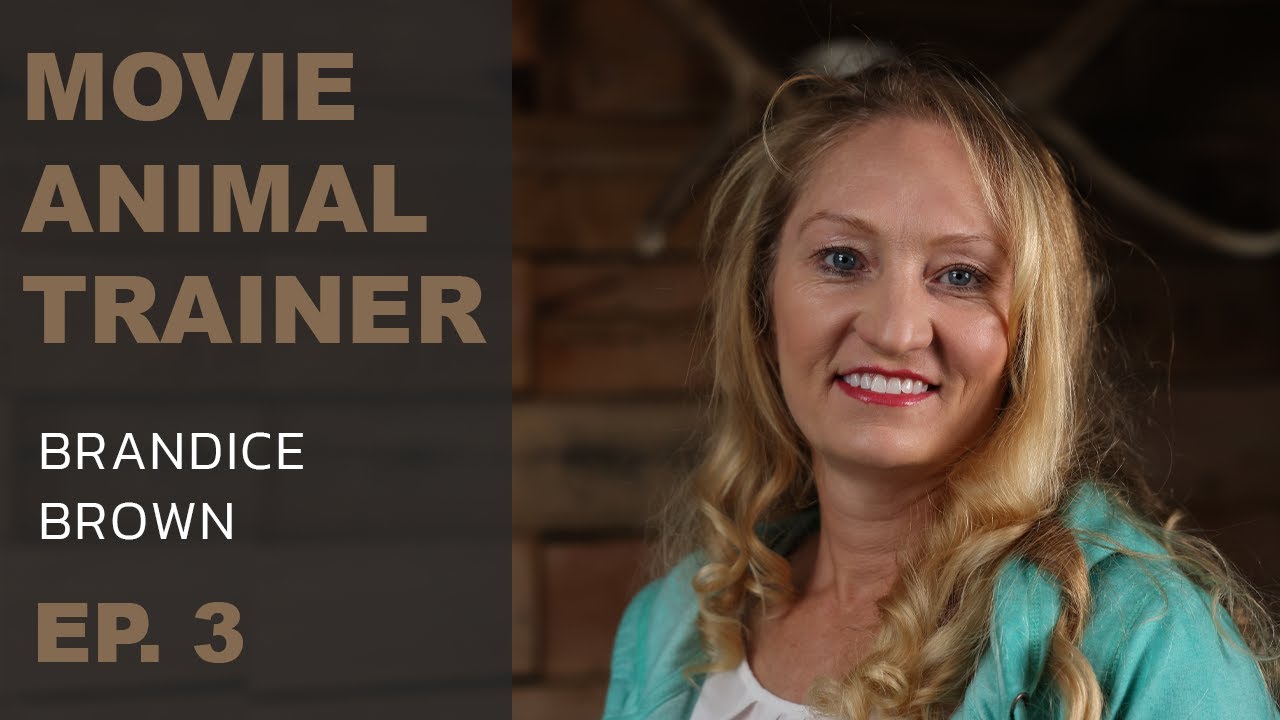 Brandice Brown Performance Animal Trainer YouTube