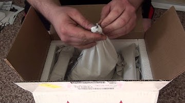 2 Ball Python Unboxings - Amazing Females!