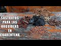 Sustratos para Orquídeas en Cuarentena || Orquiplanet