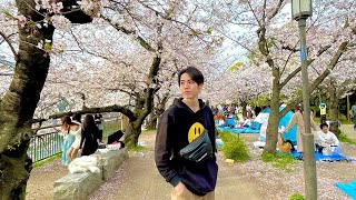 NOBURIN  CHANNEL🥱の配信のサムネイル画像