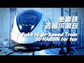 [4K] Take high-speed train to Harbin for fun. Penguin Parade, Ice Drifting, Northeastern Louvre...