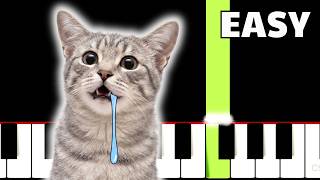 Drooling Cat Meme - EASY Piano Tutorial @NerdChorus