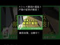 戸建の方は見ないと損する!ものすごく簡単な雑草対策!