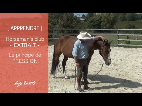 [ APPRENDRE ] Comment mettre et enlever une pression pour que mon cheval cède ?