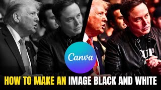 How To Make An Image BLACK and WHITE In CANVA (Latest) | Convert Image into Black and White in Canva