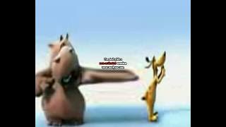 Pat and Stan The lion Sleep tonight is going Weirdness Every