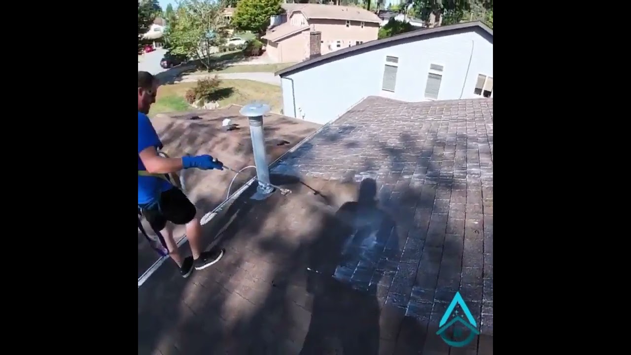 Roof Cleaning  in Surrey, BC - Revive Services