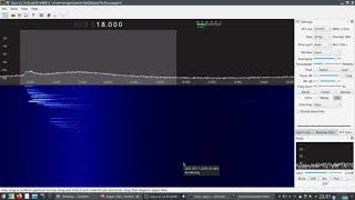 The bat echolocation sounds (spec. no.1) via Airspy HF+ SDR receiver